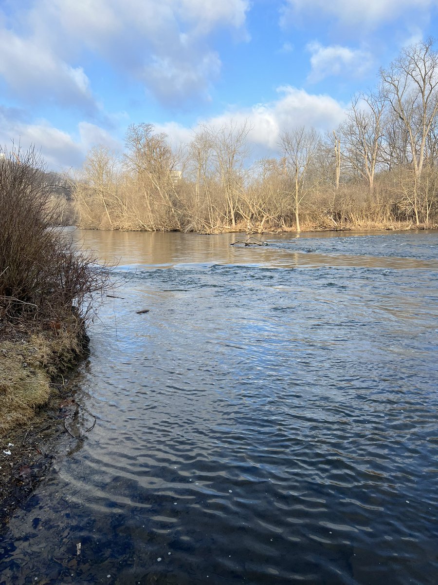 tenz ༡༨ tweet media