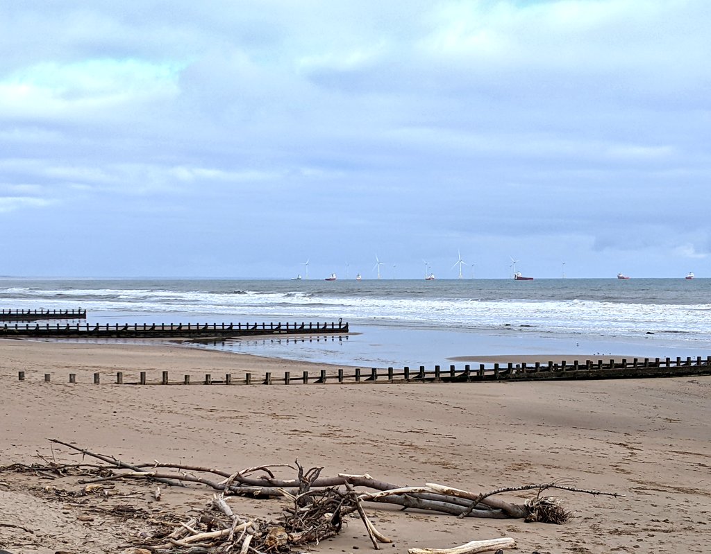 Our Offshore Renewables team had a busy couple of days in Aberdeen! 💬

A series of meetings on the #PrePAREDProject, which is looking at improving our understanding of marine predators, their prey, & #offshorewind development. 🌊🐧🐬🐟
Read more👉: bioss.ac.uk/case-studies/u…