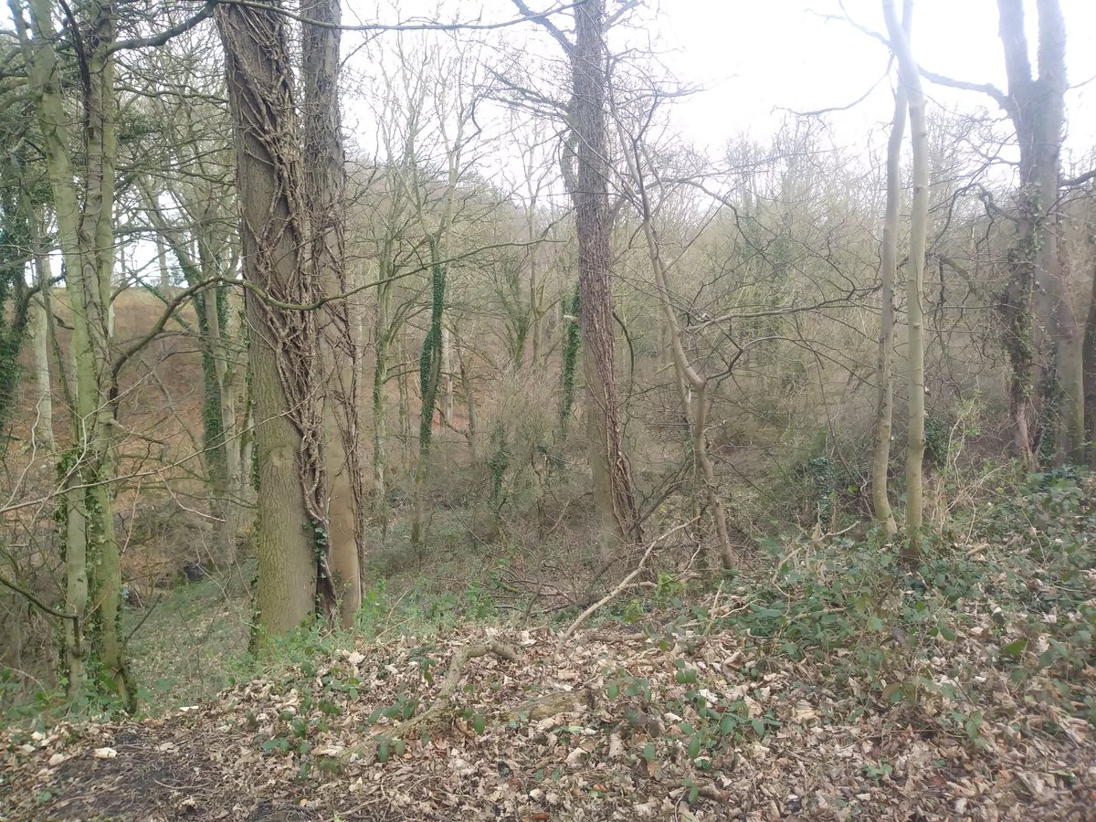 lyn 📚☕☕ tweet media