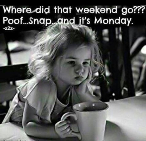 RedFish1A's tweet image. The plan is 2 get me butt in gear &amp;amp; start planning 4 Friday 🙌

#LivingForTheWeekends 👍
#OnlyFourMoreDaysTillFriday 🙌