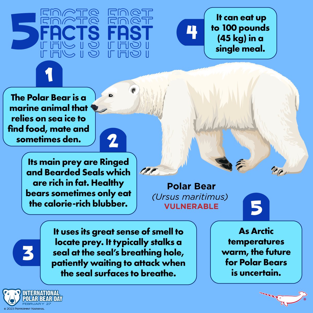 PepomintNarwhal's tweet photo. #InternationalPolarBearDay 
#5FactsFast #polarbear 

NEW! Common Barn Owl Enamel Pin  - Now Shipping!!!
Shop now: https://t.co/bQXxNGbEjD

#PolarBearDay https://t.co/FjoqI0ne6o