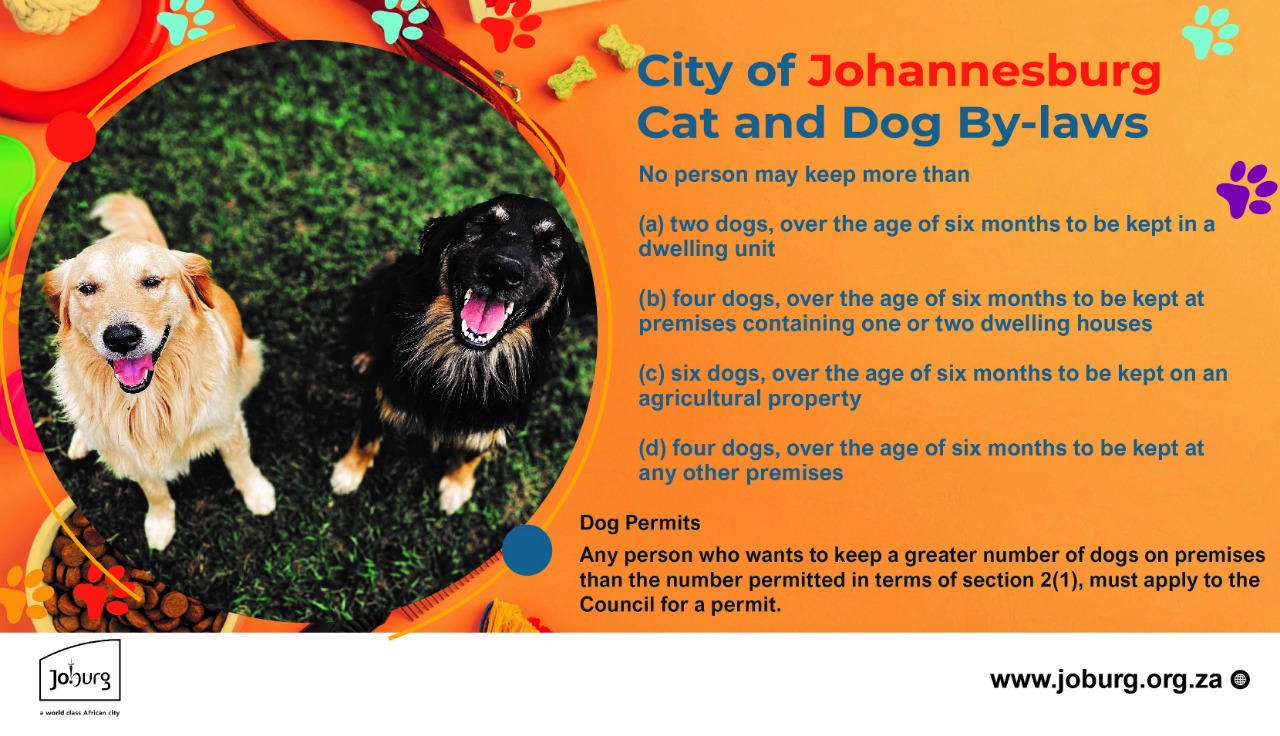 how-many-dogs-can-you-own-in-a-council-house