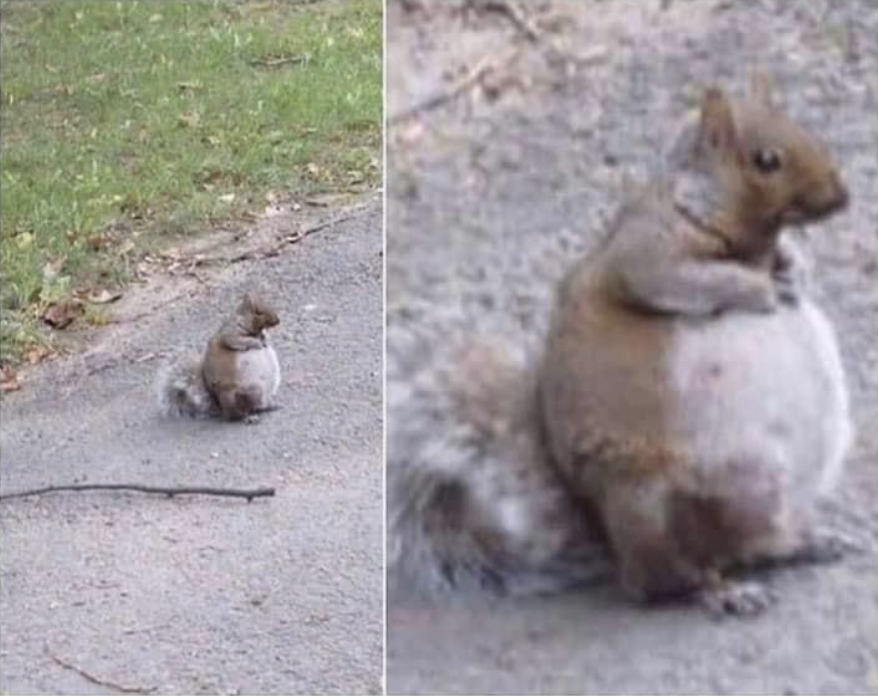 Kaia Tombak tweet media