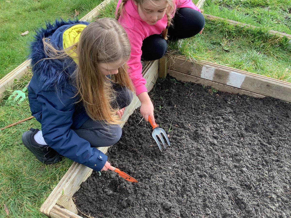 westheathprim's tweet photo. #WHPSClass8 went out into forest school today to plant some vegetables. This term in topic we are learning all about farming. The children showed great collaboration! #WHPSWOWDay #WHPSGeography https://t.co/99qhhC4VC5