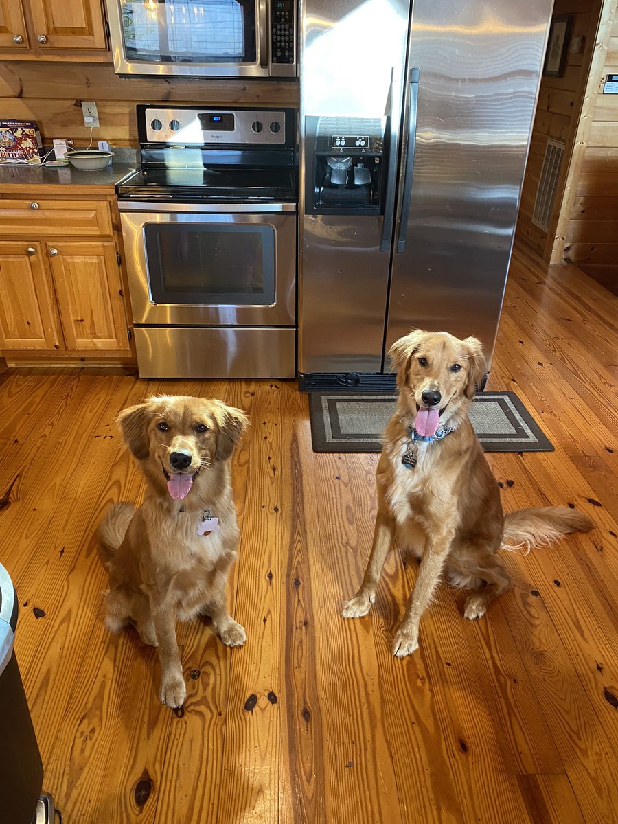 bradasinclair's tweet photo. Best friends. https://t.co/HWUtNbSdIF