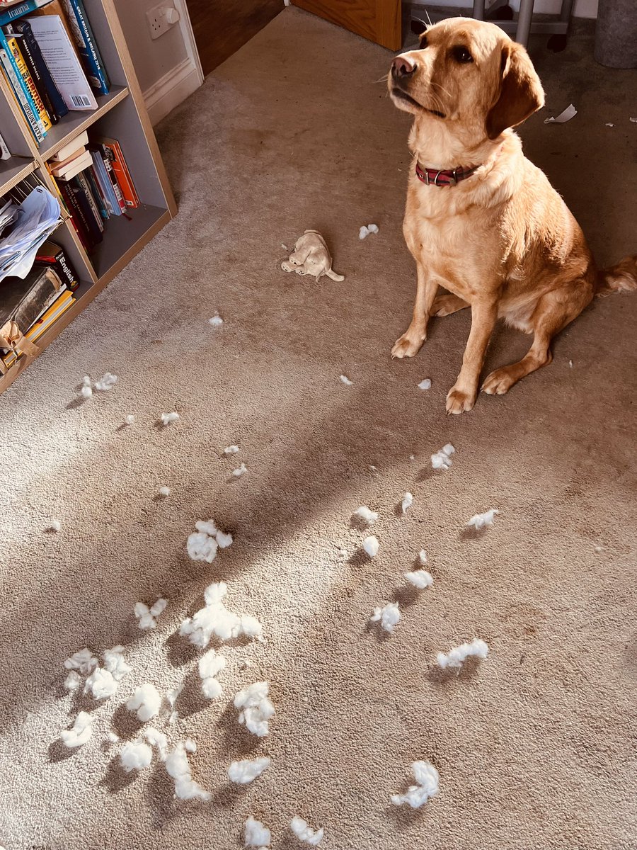 Laura Patterson tweet media