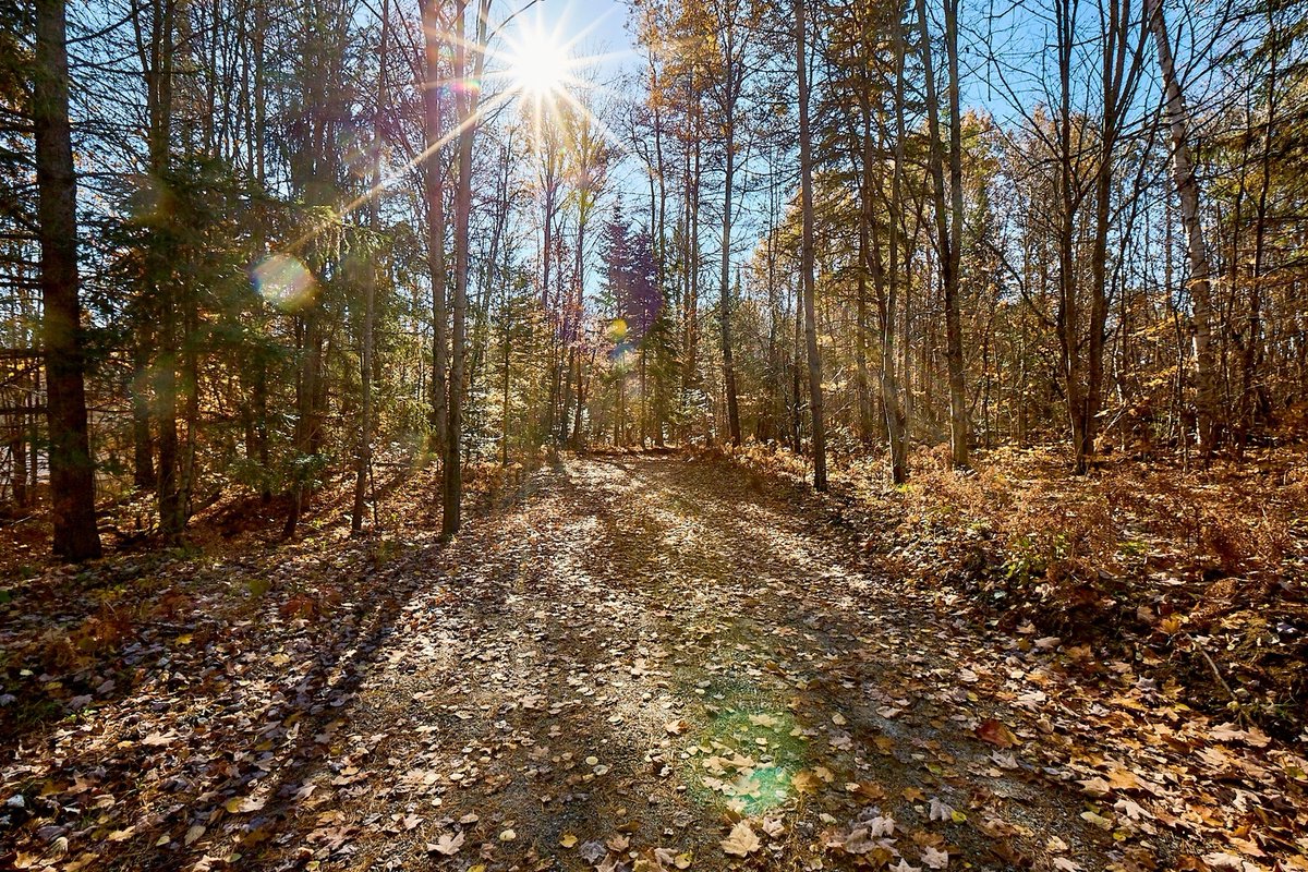 19 acres within close proximity to all amenities, 0 East Waseosa Lake Road ($365,000) is a gorgeous acreage offered within minutes of downtown Huntsville in a sought-after area of beautiful homes.
🖥 bit.ly/JVEastWaseosa

#huntsvilleontario  #muskokarealestate  #muskoka