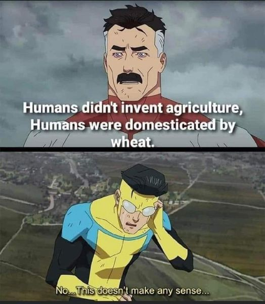 OrwellNGoode's tweet image. 