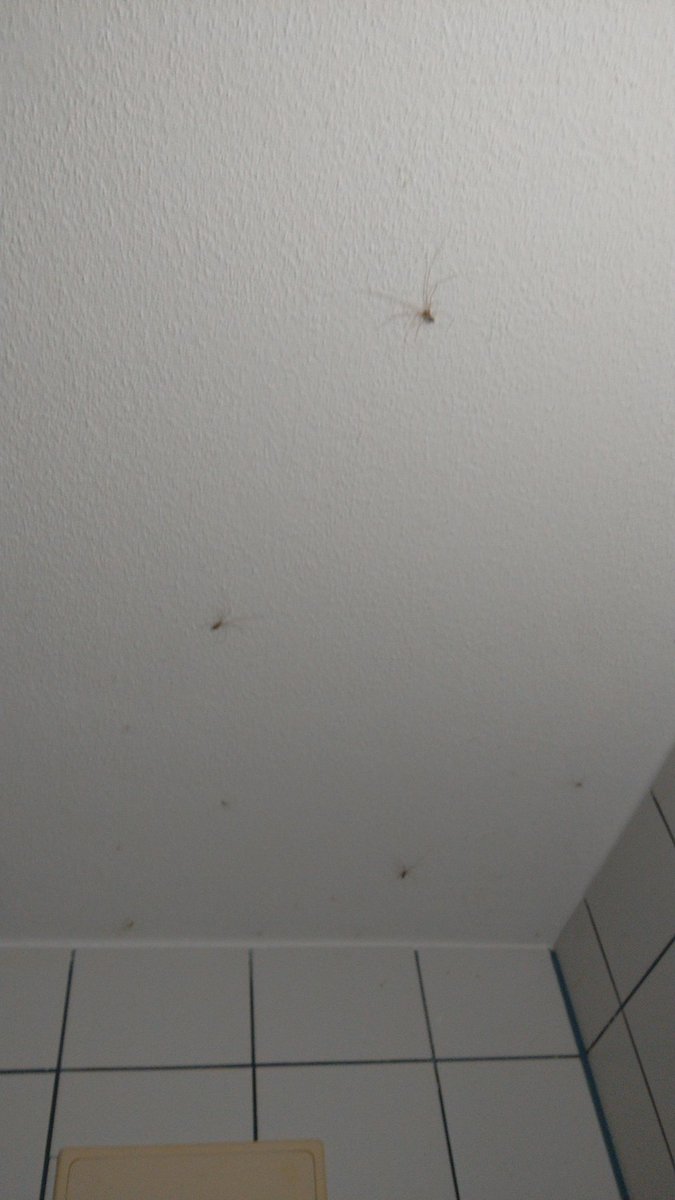 Schon wieder?
Gestern erst alle entfernt.