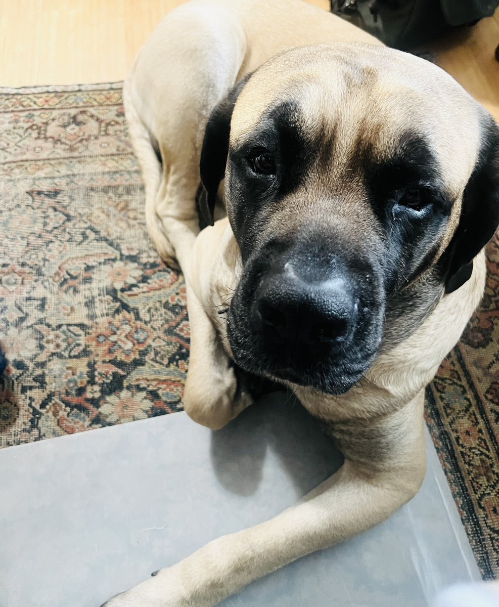 ChrisHolmesQ's tweet photo. "Who are we going to help today, Dad?" https://t.co/sR9pOKtPoW