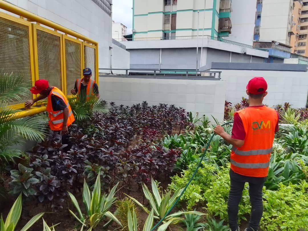 cvm_ve's tweet photo. #SomosCVM || Mantener lo recuperado es prioridad para nuestros trabajadores en estaciones Capuchinos y Maternidad del @metro_caracas. Por eso se ejecuta:

✅Regado de plantas.
✅Recolección de basura.

#27Feb 
@delcyrodriguezv 
@NicolasMaduro 
#27FRebeliónAntimperialista https://t.co/IVmPs8nDen