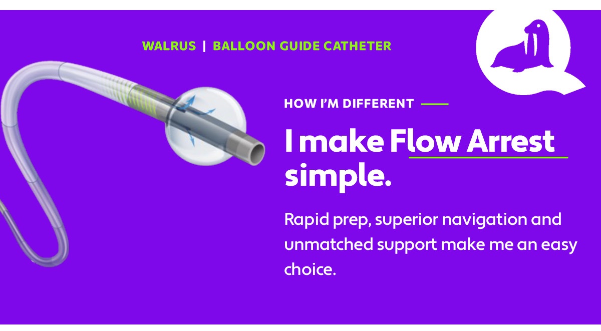 q_apel's tweet image. #Walrus #EngineeringMatters