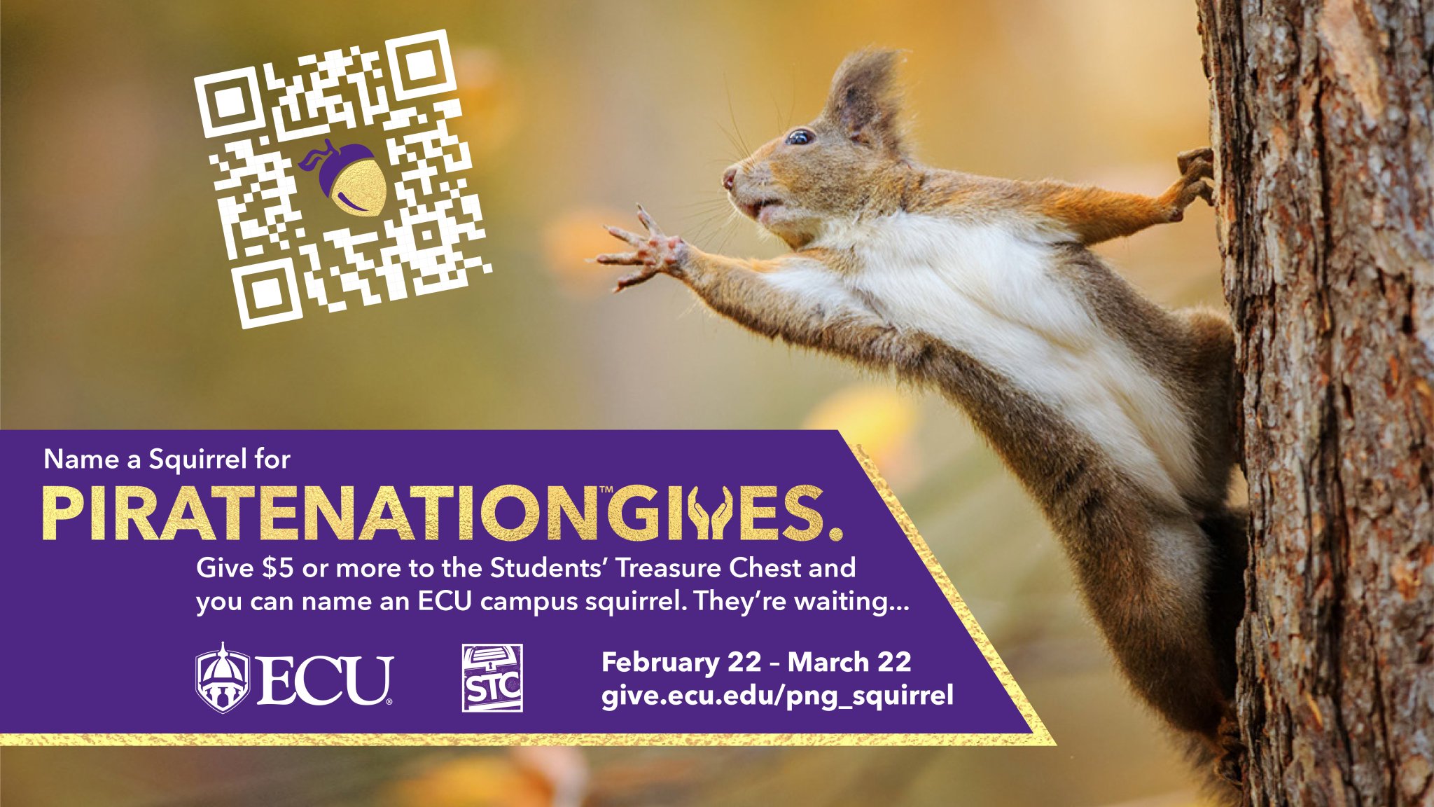 ECU Advancement on Twitter "Have you named your campus squirrel yet