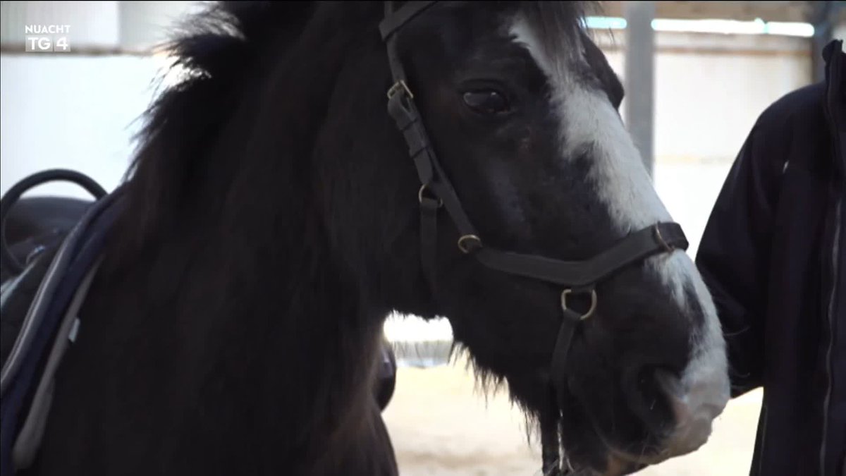 Athbhreithniú Zenit 3M + Helios-44: Clasaiceach Bokeh Swirl Seanré –  Dutch|Thrift, image size:1200x675