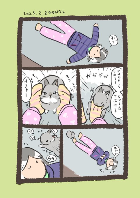 お気に召しちゃった

#うさぎのいる生活 