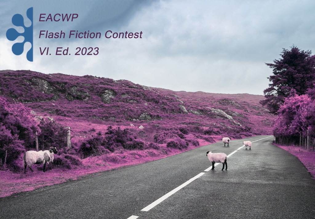 LAST DAYS to send your stories. Remember that this year's topic is #incorrect and that you can send stories up to 100 words until #April1st. 

For more info ⬇️💕

eacwp.org/flash-fiction/