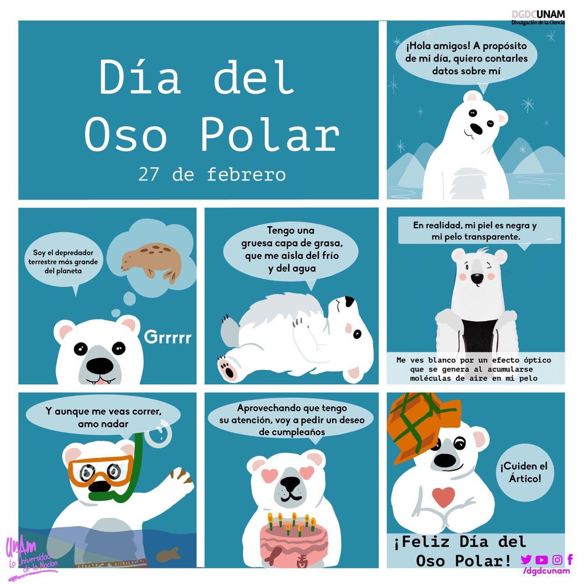 ¡Hoy, y siempre, recordamos el #DíaDelOsoPolar!🐻‍❄️

Al ser una especie vulnerable, reforzamos el compromiso de tomar acciones para sanar nuestra Tierra, y comprender que aún viviendo a miles de kilómetros, nuestras acciones pueden impactar en otras especies.

¿Te unes al cambio?🌎