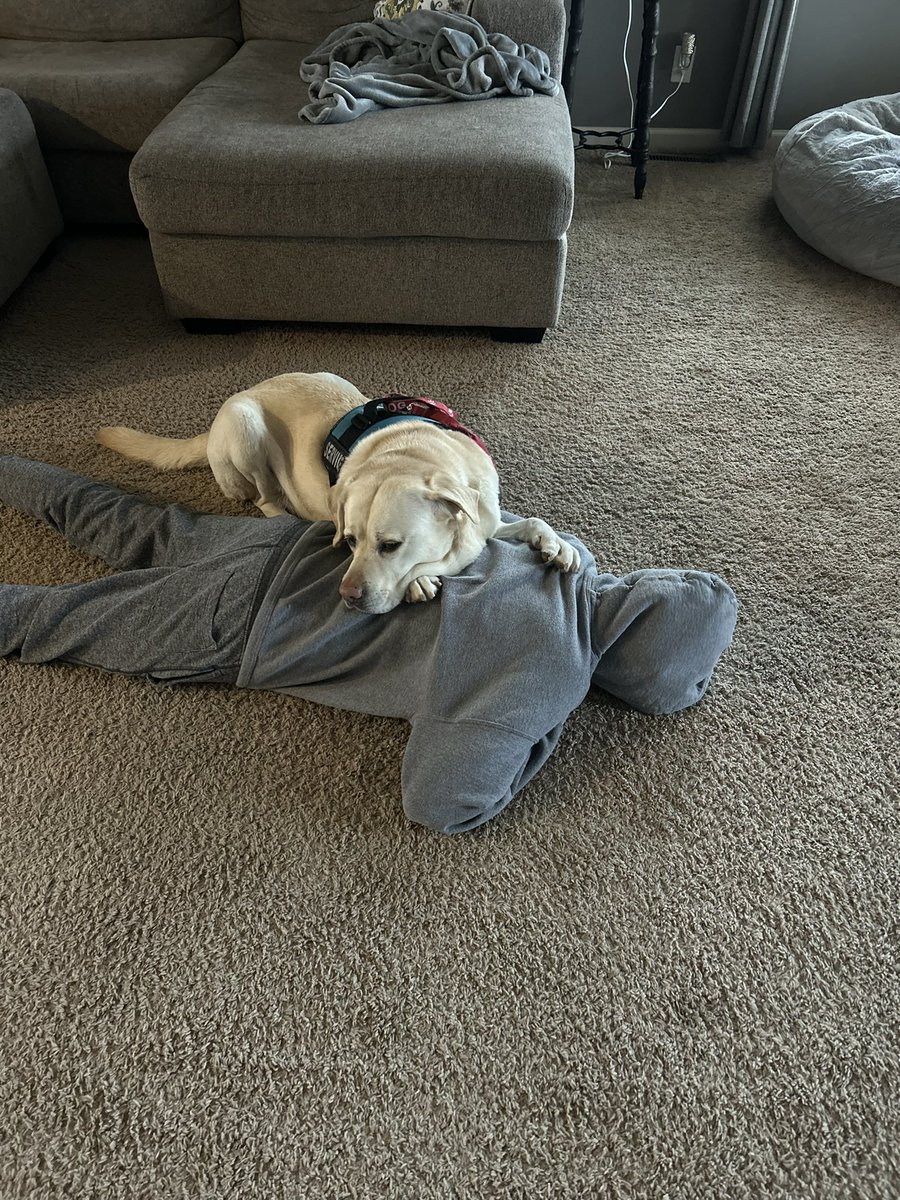cadeandcharlie's tweet image. Someone had a serious case of the Monday&apos;s this morning and some serious FOMO about having to be late to the playoff basketball game tonight. 🏀

Good thing a lay-on from Charlie fixed him right up. #deeppressure #sensoryinput #autismservicedog

@gooddogservicecanines