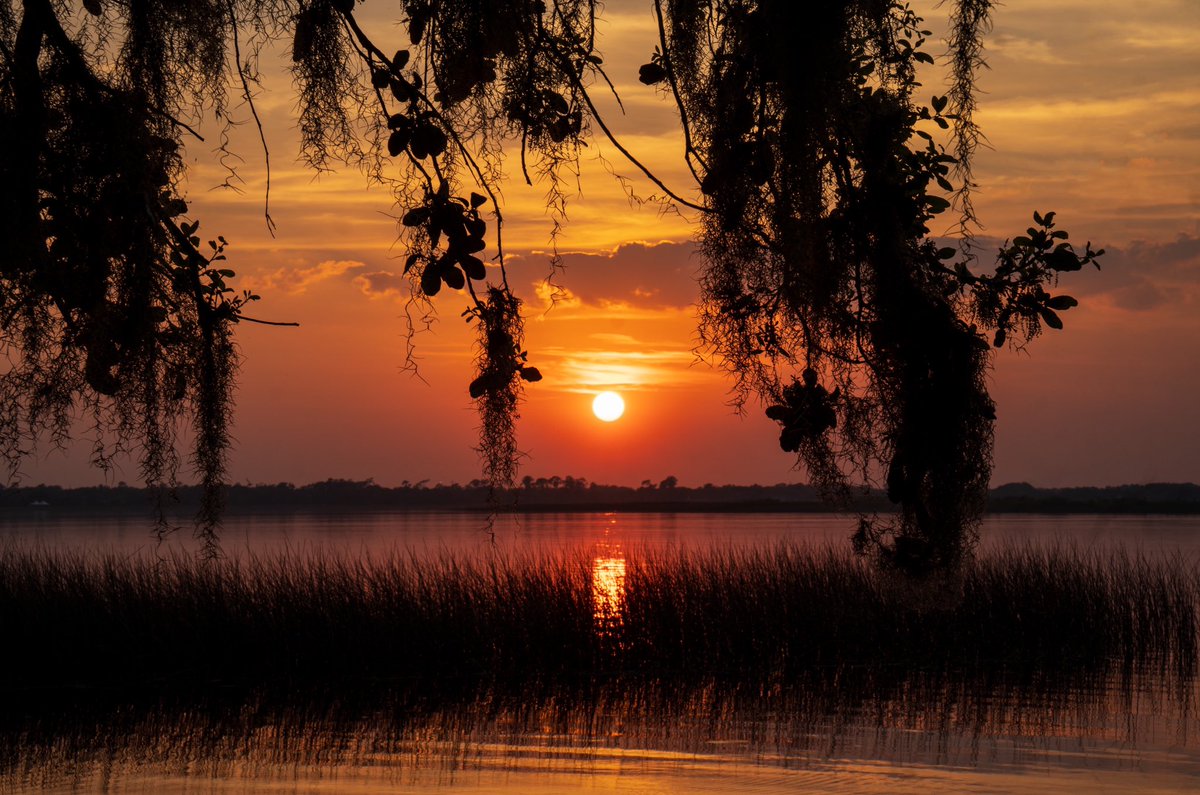 A beautiful sunset from Florida! 

#Florida #LakeHamilton #Sunset #sunsetphotography #SonyAlpha #Sonya6400 #a6400Photography #Explore