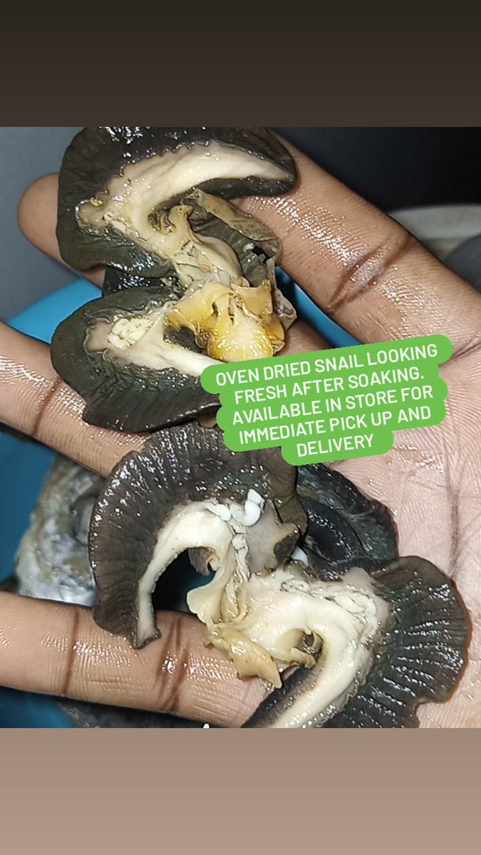 Bimg food's oven dried snail looking looking fresh after soaking. Available in for immediate pick up and delivery. click on our bio to order. #snail #foodlover #Foodies #Food #bimgfoods #foodblogger #AfricansinUkraine #Canada #uk #London #grocerystore #Export #explore #exporter