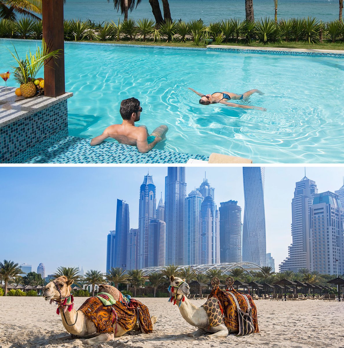 What’s more your style: Lounging poolside 🕶️ or scenic camel ride🐪?  #camelride #animallover #poollife #poolside #relaxation #poll #vacation