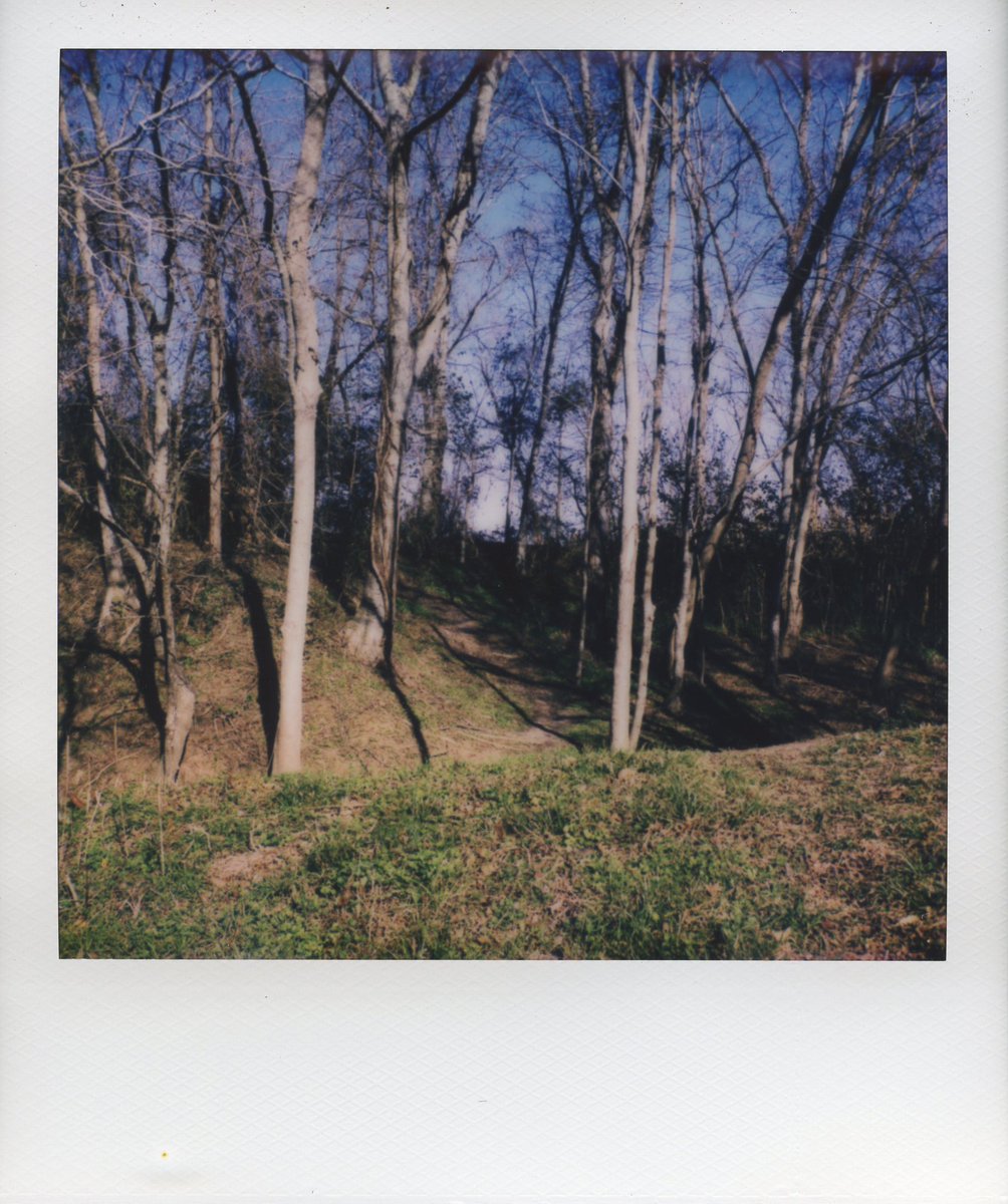 GM twitters. 🖤 Here’s a roid from a few weeks back. Happy Monday! 
#polaroid #sx70 #photography #landscape #art #instantfilm