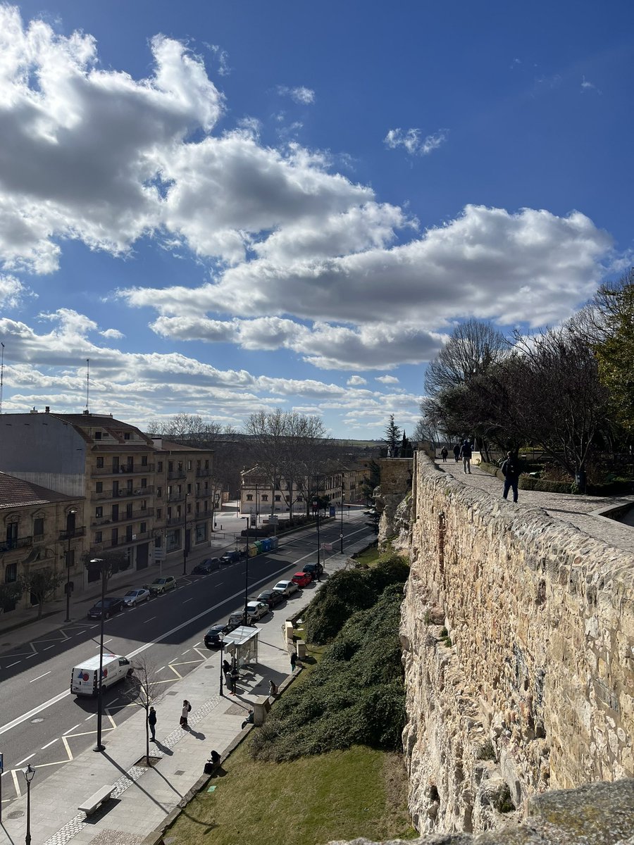 Our trip lead and chaperones upon the top of the Garden of Forbidden love! Salamanca #mvinterim2023 #mvspainportugal2023