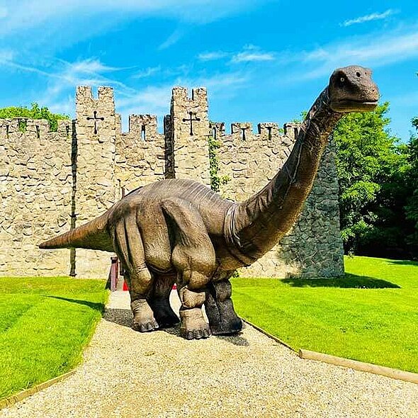 Nicola Maile (@raring2goswarks) on Twitter photo Looks like the dinosaurs are still in charge at <a href="/DraytonManor/">Drayton Manor</a>
raring2go.co.uk/event/march-of… Looks like the dinosaurs are still in charge at <a href="/DraytonManor/">Drayton Manor</a>
raring2go.co.uk/event/march-of…