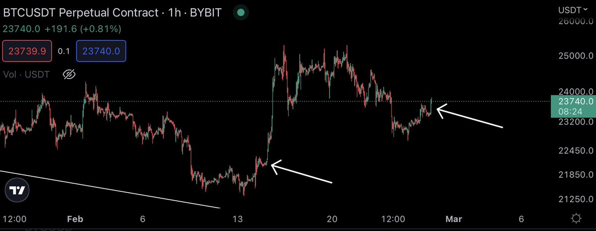 K A L E O tweet media