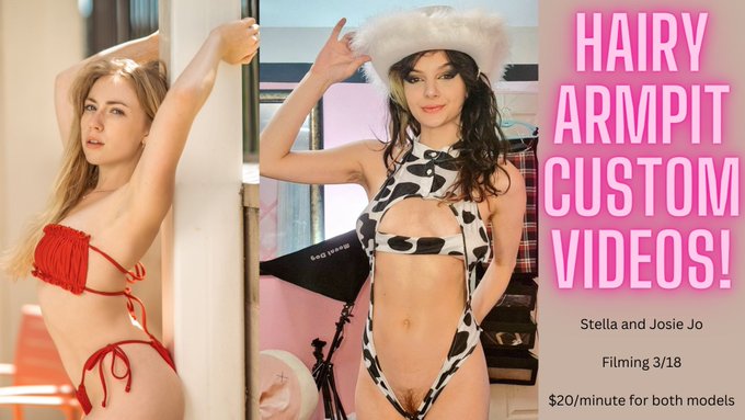 Josie and I will be reunited soon! Order a custom while you can ✨ We only have 4 spots left! @lajosiejo