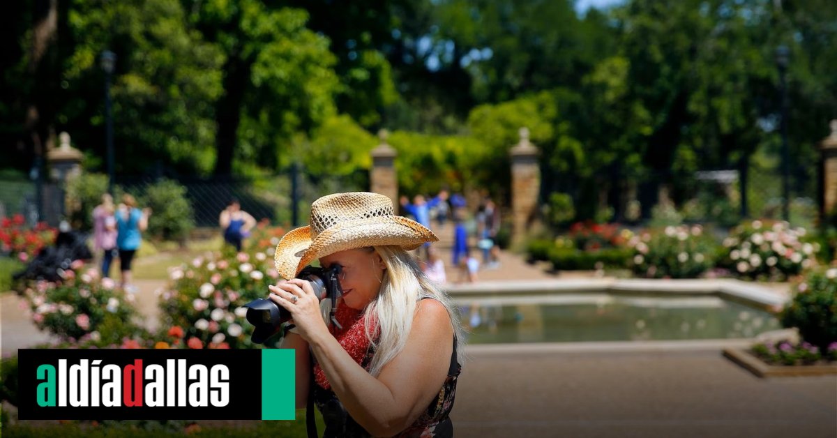AlDiaDallas's tweet image. ⭕️ | Exhibición de #DallasBlooms en el #Arboretum, #campamentos de #springbreak, #MonsterJam, #obrasteatrales y más opciones de #entretenimiento en #Dallas y #FortWorth esta semana. Aquí detalles.  👇

dallasnews.com/espanol/al-dia…