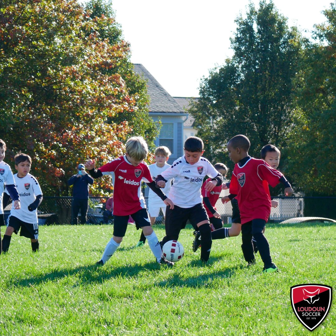 loudounsc's tweet photo. Only one month til Rec rosters are released! If you're late registering your player, consider coaching a team! It's an easy and fun way to spend time with your child! https://t.co/nUHl0QPMHB