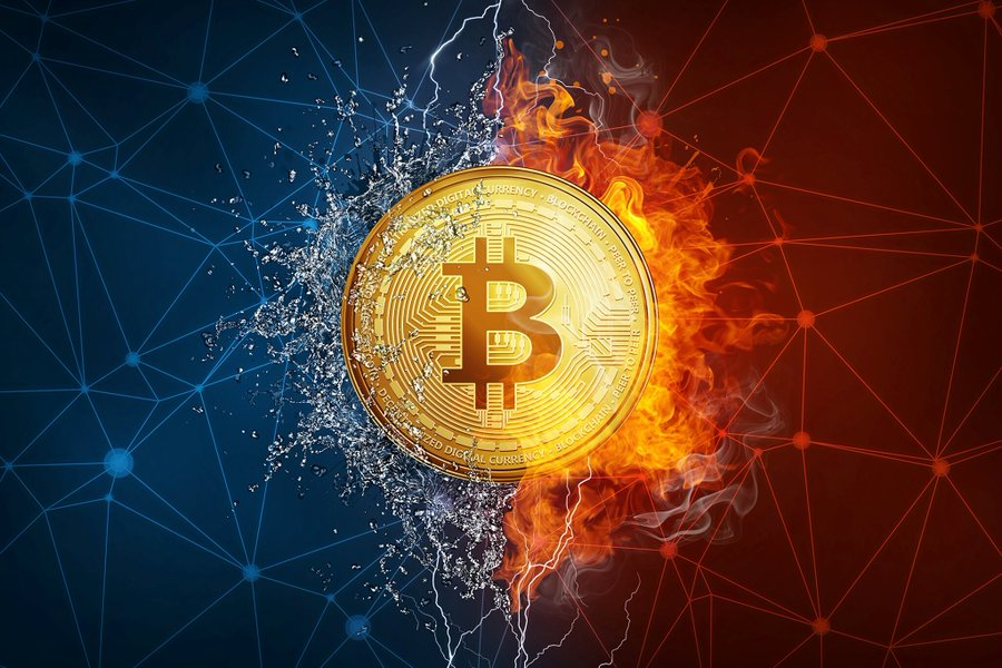 The King of crypto🏆 #Bitcoin #crypto #Cryptocurrencies