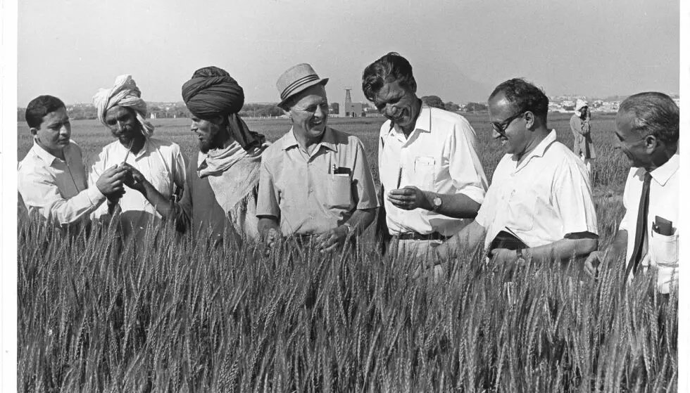 Following an unsuccessful Third Plan, the three Annual Plans provided a breather to the economy by envisaging the launch of Green Revolution, devaluing the rupee, and nationalising banks
Writes:<a href="/krishnagupta358/">DR. KRISHNA GUPTA, IAS</a>

millenniumpost.in/sundaypost/ins…