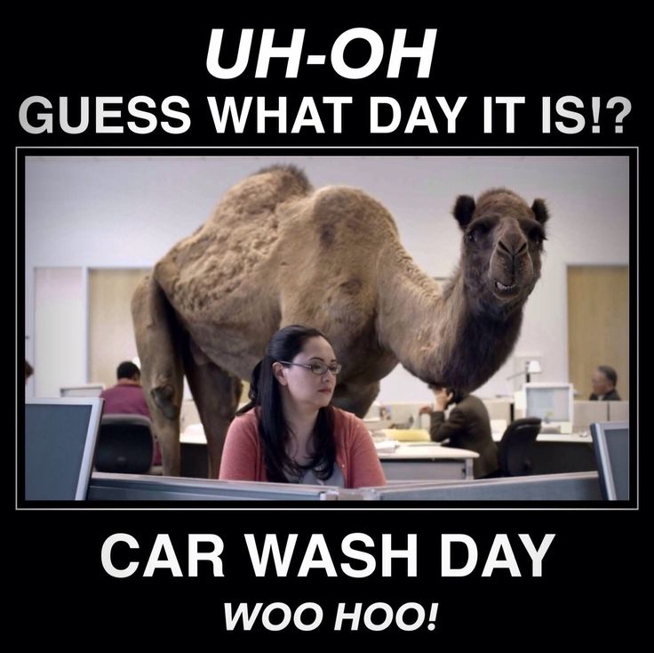 FHSBHSPostProm's tweet photo. Get out to Tommy's Express Car Wash today to support Post Prom.  Go through the CASHIER line and mention Post Prom - even if you are an existing Tommy's Car Wash Member - and they will donate 20% to Post Prom at no additional charge to you. #carwashday #washthewintergritoff https://t.co/b7AIGd6ecH
