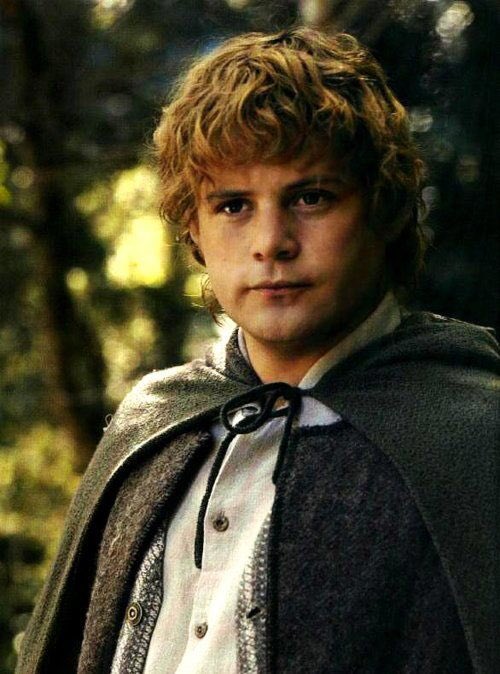 Happy 52nd birthday to Sean Astin who played the beloved farmer and companion in The Lord of the Rings Trilogy!   