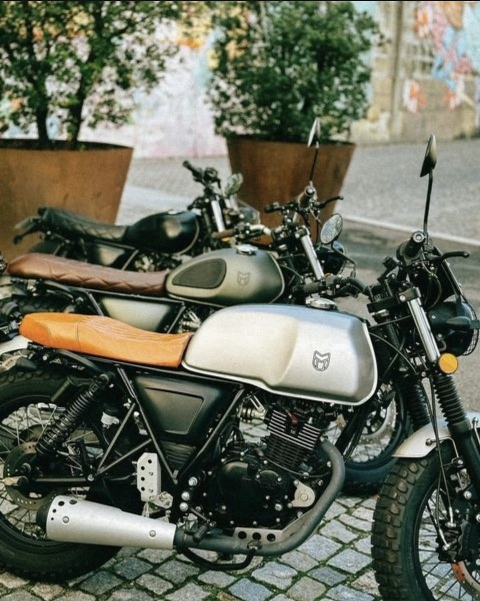 MUTTMOTORCYCLE1's tweet photo. あなたのMuttを見つけよう！
@muttmotorcycles

#mutt #fatsabbath #hilts125 #mutters #muttmotorcycles #rs13 #マットモーターサイクルズ #rs13125 #125bike #caferacer #カフェレーサー #mongrel125 #250ccbike #mastiff250 
#muttrazorback 
#fsr https://t.co/ievfmqjWZv