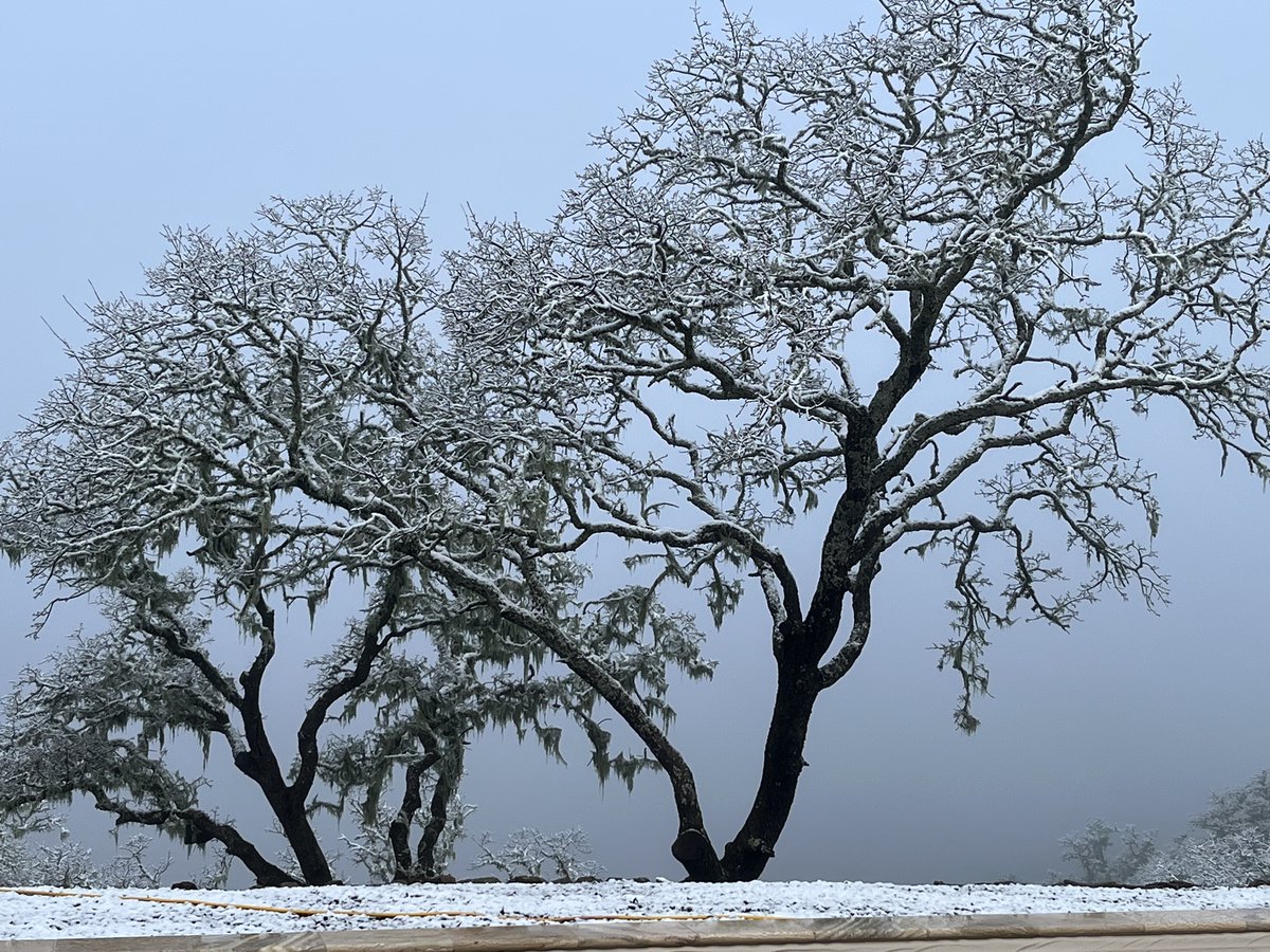 CountyofSLO's tweet photo. Snow again overnight! On #CuestaGrade, #Atascadeo, #SantaMargarita, #PasoRobles and many points in and around #SLOcounty. Still lots of extra traffic from #Grapevine being closed. Good weekend to stay home if you can with continued chances of showers and chilly today. https://t.co/Ggm4xJBTcf