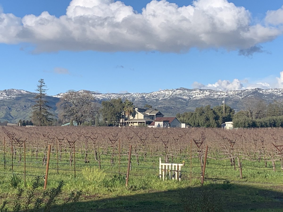 BradLemons7's tweet photo. Snow on mountains around Napa… beautifully view from O’Brien Estates! https://t.co/o1wThDlUYz