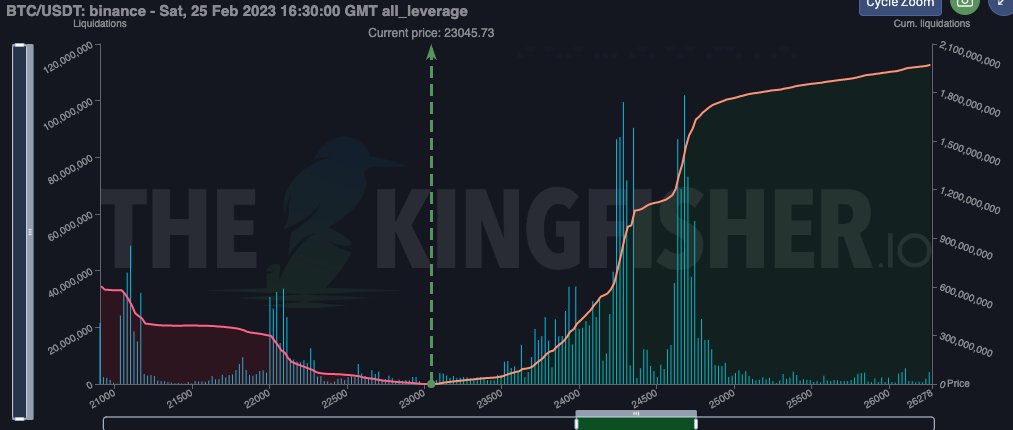 TheKingfisher tweet media