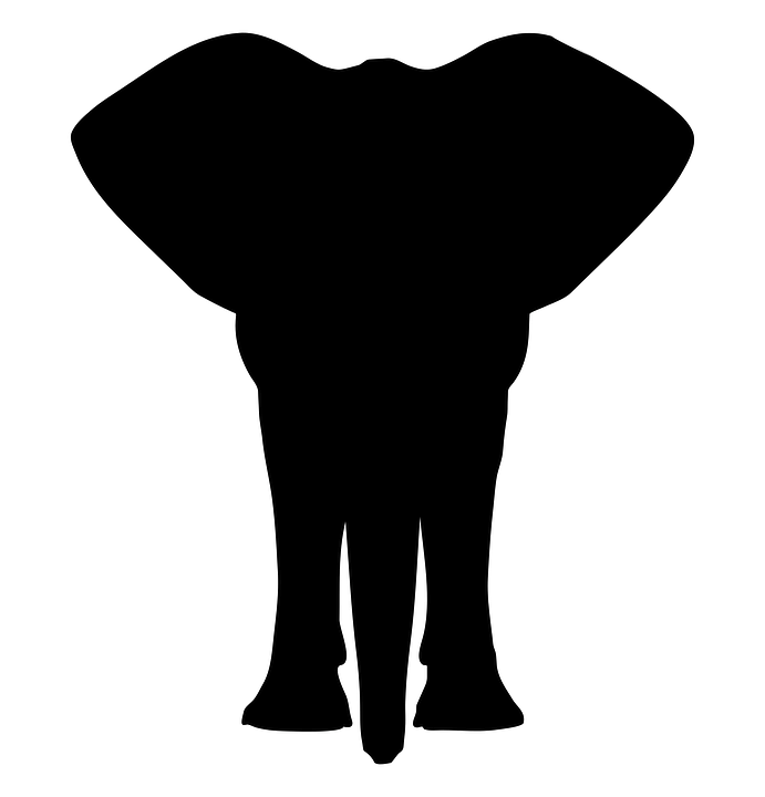 Meggle_Makes's tweet photo. @lukexdod Can you do somewhere in between? I like up better in general, but down looks more like a mammoth. Can they be up but less round? To give it the giant floppy elephant ear feel we all love <3

I just googled elephant silhouettes for a rough example. https://t.co/xxNmRrXkpk