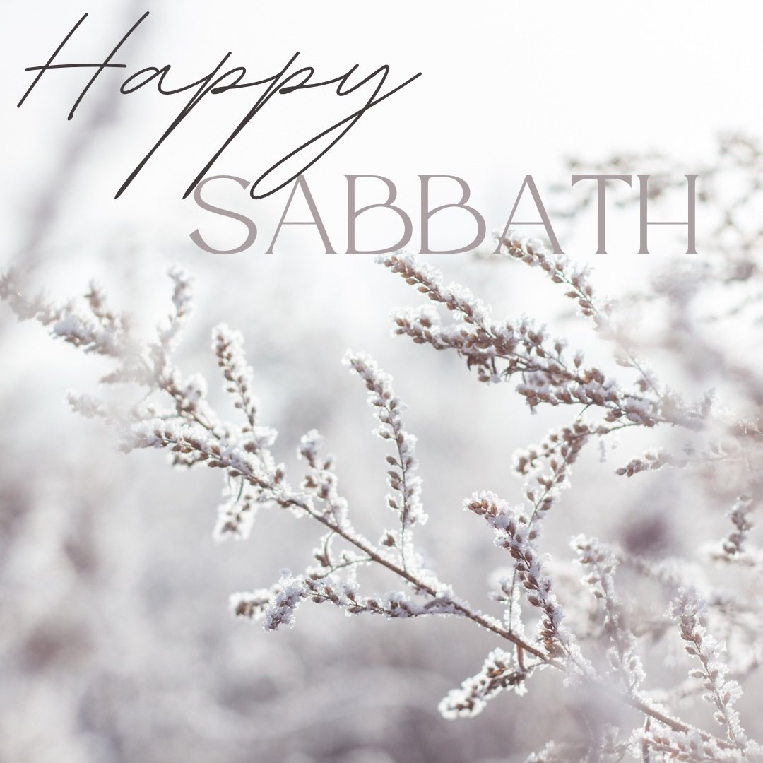 TorontoPerthSDA's tweet photo. “By the seventh day God had finished the work he had been doing; so on the seventh day he rested from all his work. Then God blessed the seventh day and made it holy, because on it he rested from all the work of creating that he had done.”- Genesis 2:2-3 NIV #SDA #Sabbath https://t.co/LmktH2HMCp