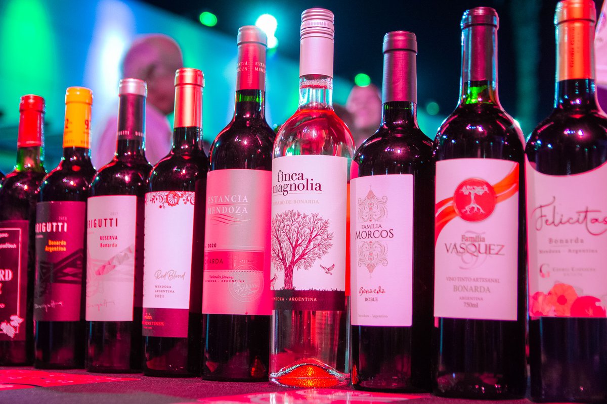 rufeilok's tweet photo. 🍇🍷 Postales de una gran noche en el 𝙋𝙖𝙨𝙚𝙤 𝙙𝙚𝙡 𝙑𝙞𝙣𝙤. Un año más junto a bodegas del Este y nuestros vinos #Bonarda. Los invitamos hoy a seguir disfrutando de degustaciones, gastronomía, música y mucho más en el Paseo de la Patria. Salud San Martín! 
#TierraqueEnamora https://t.co/a5A0OVyxQs