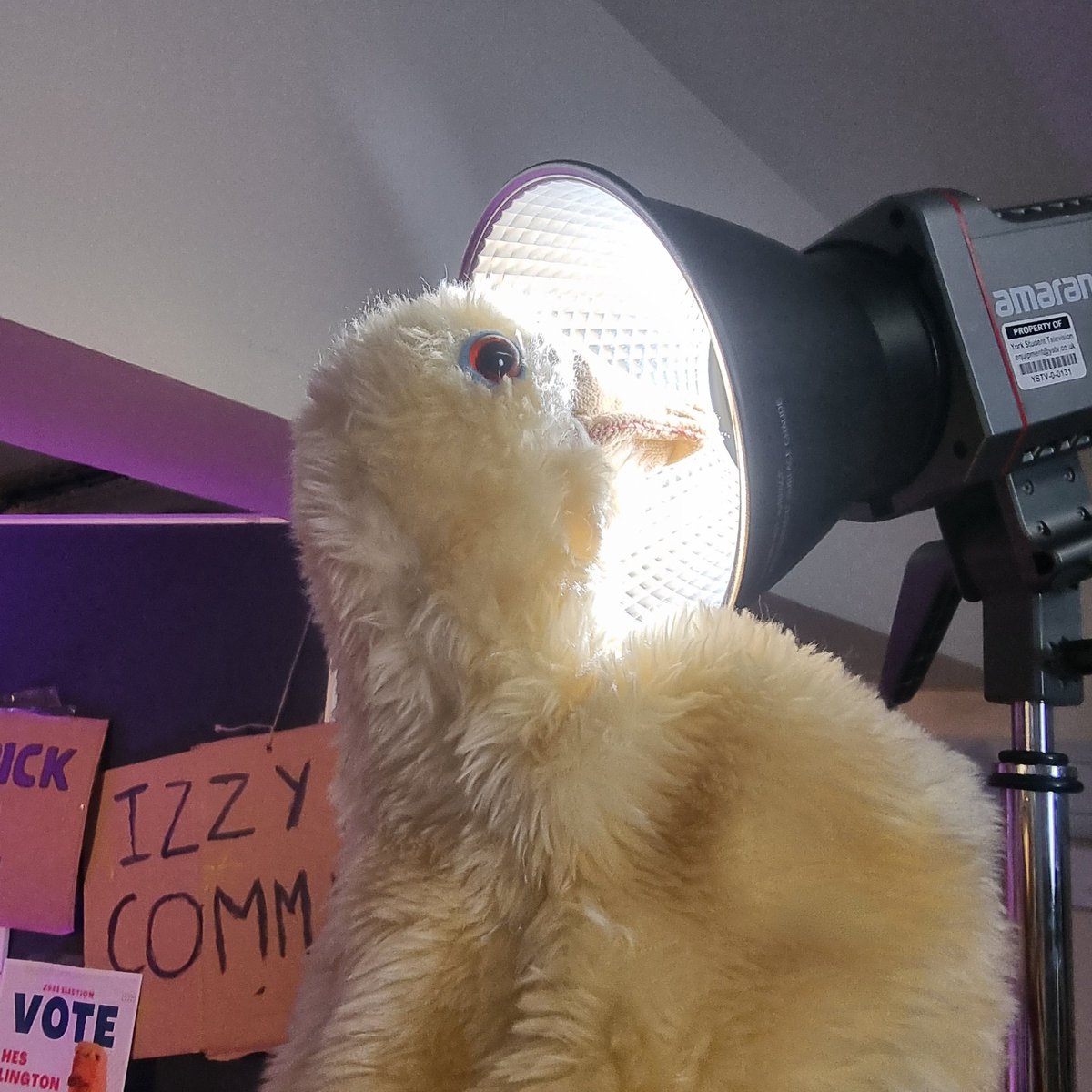 ystv's tweet photo. I am quite literally enlightened. Vote for me if you dislike epistemic distance.
#ERN #YUSU #YSTV #YUSUERN https://t.co/JywaURME8o