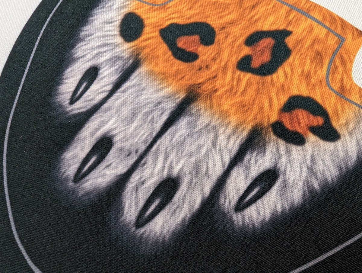 PETSUITFORFUN's tweet photo. Now the final prototype of Petboot is almost completed 🤩
Petboot will be launched on @forfunbangkok webstore in March 2023

#petboot #petsuitoriginal #forfunbangkok https://t.co/avqXHWPApJ