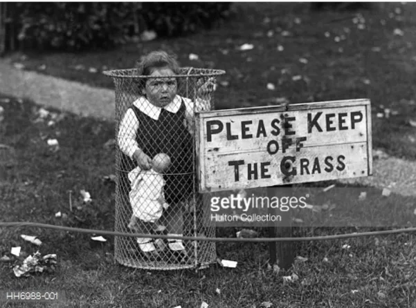 Maria Calipari tweet media