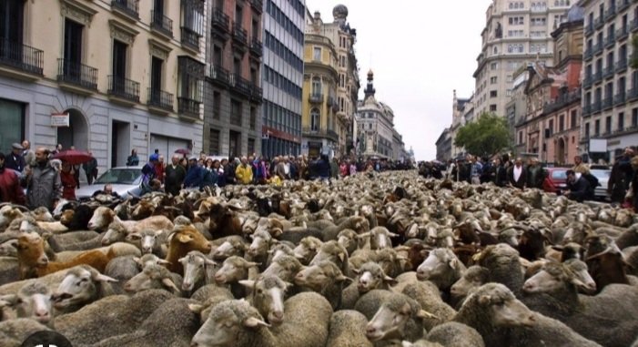 diazenca70's tweet photo. Se filtran imágenes del ensayo general para #LaMarchaDeLosPENDEJOS2 #LaMarchaDeLosNarcos de mañana para su CONCENTRACION en el zócalo CDMX 
@pedroferriz3
@AccionNacional 
@PRI_Nacional 
@PRDMexico 
@MovCiudadanoMX 
@ClaudioXGG https://t.co/PyR41gytU6