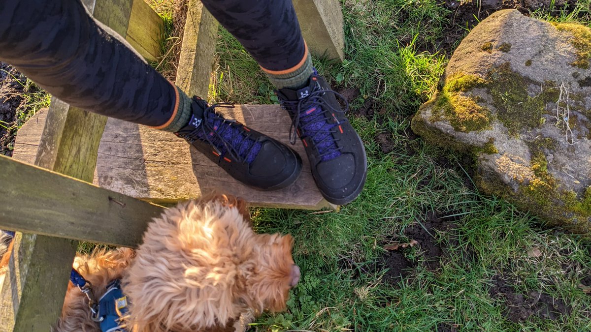 Kate Lilley tweet media