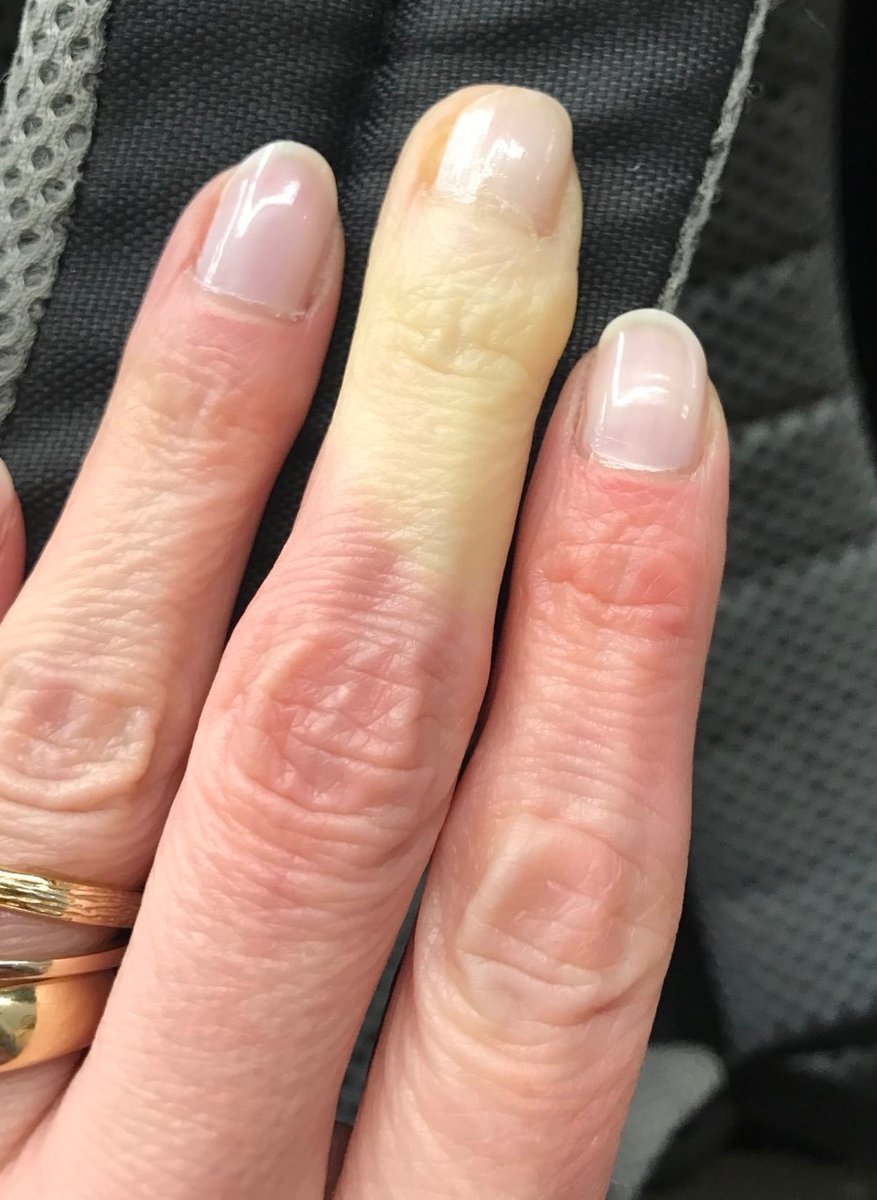 Dr. Karen v. Mücke tweet media