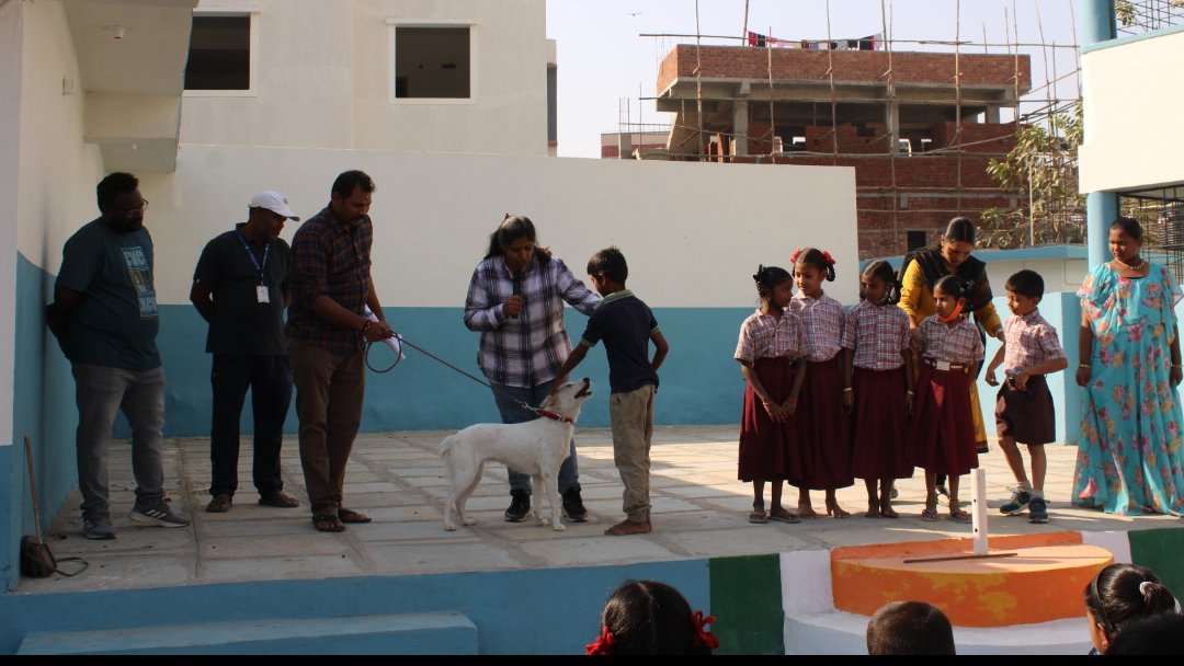 DCManikondaGHMC's tweet photo. Awareness program conducted on stray dogs at ZP primary school.
@arvindkumar_ias @KTRBRS @cdmatelangana @CollectorRRD @Prateek_JainIAS https://t.co/ONMpBHseYs